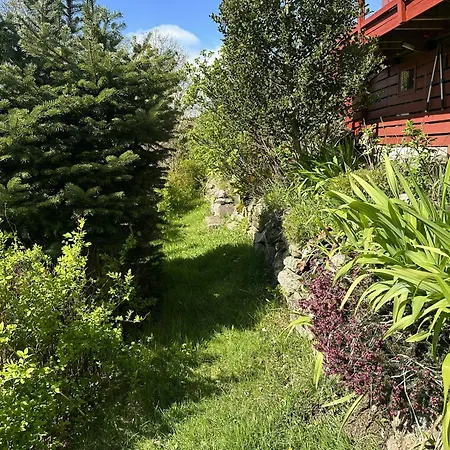 別荘 Garden With Shared Dock Near