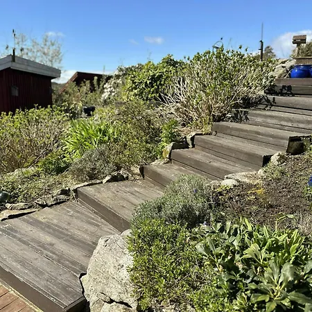 別荘 Garden With Shared Dock Near